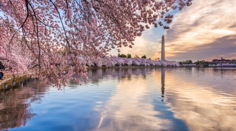 Washington DC Travel Tips: Where To Go And How To Get There